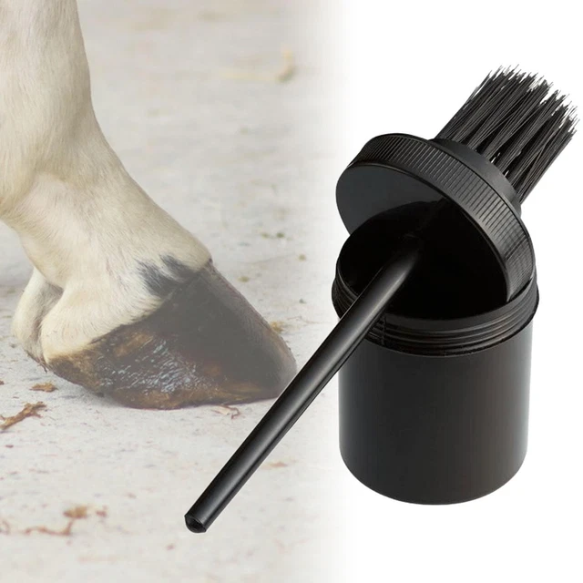Kit Pinceau à Huile TOVINANNA - Pour Crêpes, Barbecue Et Cuisine - Brosse à Badigeonner En Acier Inoxydable