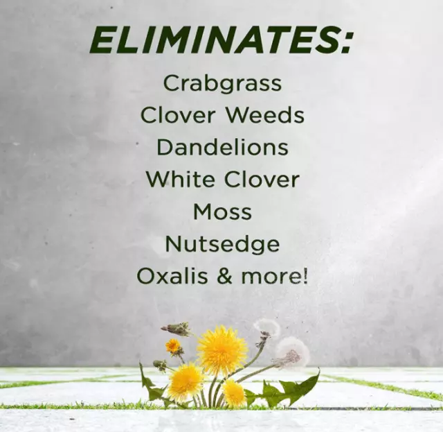 1 Gallon Spray Grass Control 20% Vinegar Weed Killer - Glyphosate Free Herbicide 3