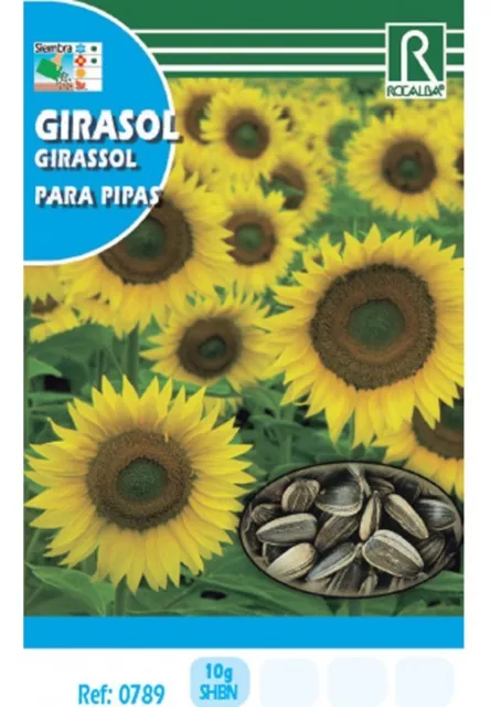 Hortalizas Girasol Para Pipas