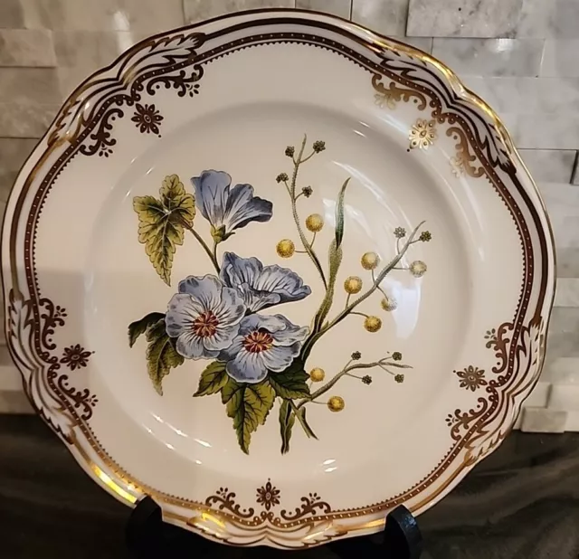 Spode Stafford Flowers Lida & Acacia   7" Plate HARD TO FIND