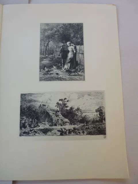Gravure In Folio: La Truffiere / Porcs Couches  Par Charles-Emile Jacque