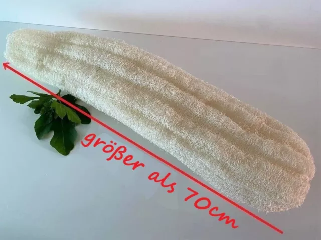 XXXL Luffa, Loofah, Luffagurke ganz,    70 cm, Luffaschwamm, Massage, Peeling