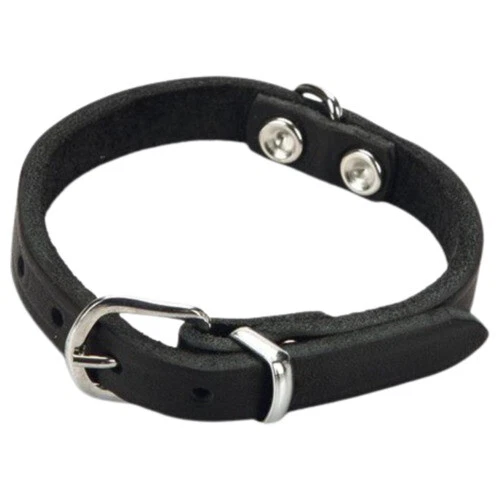 Beeztees Collar para Perro Cuero Negro, Varios Tamaños, Nuevo
