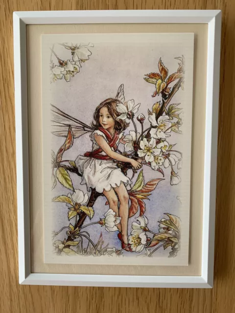 Flower Fairies framed print - 'Wild Cherry Blossom Fairy' - Cicely Mary Barker