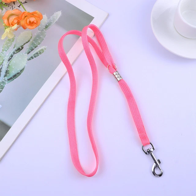Correas de cuidado para perros soporte cuidado de perros nácar accesorios de maquillaje