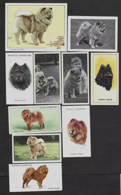10 Different Vintage CHOW CHOW Tobacco/Cigarette/Tea Dog Cards Lot