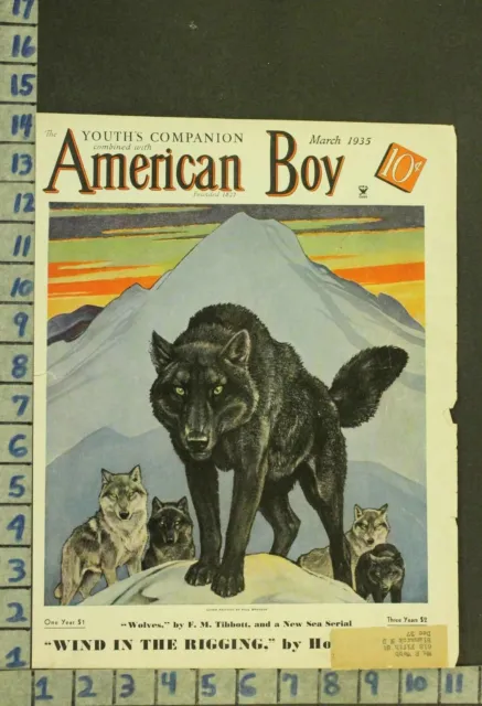 1935 Illus Bransom Cover Animal Wolf Dog Alaska Wildlife Biology Nature Ro44
