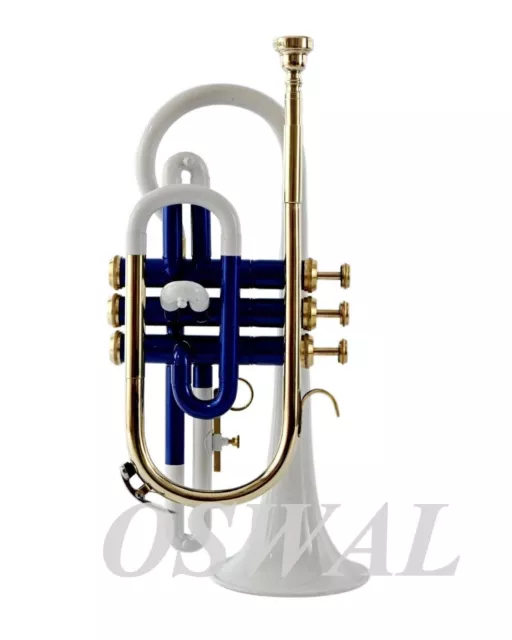 Cornet WHITE BLUE BRASS Bb FLAT Cornet NICKEL Expert's Choice+ Hard Case+ M/P