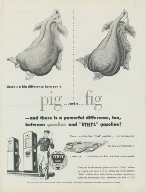 1951 Ethyl Gasoline Pig Fig Difference Gas Tank Station Vintage Print Ad C6