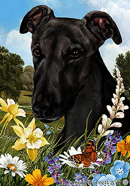 Summer Garden Flag - Black Greyhound 183121