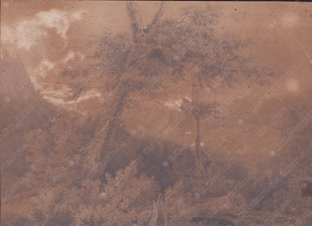 Disegno a matita Paesaggio con alberi firma L. Cime? Arte