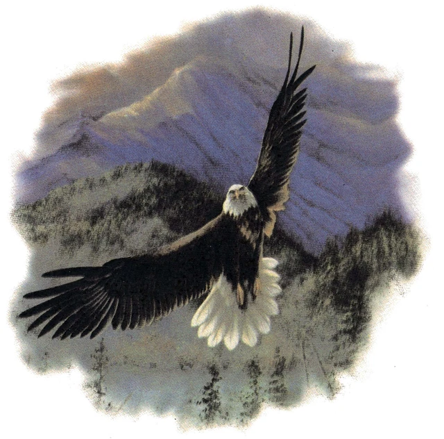 Calcomanía de cerámica Soaring Eagle Mountains 1 pieza 5-1/2