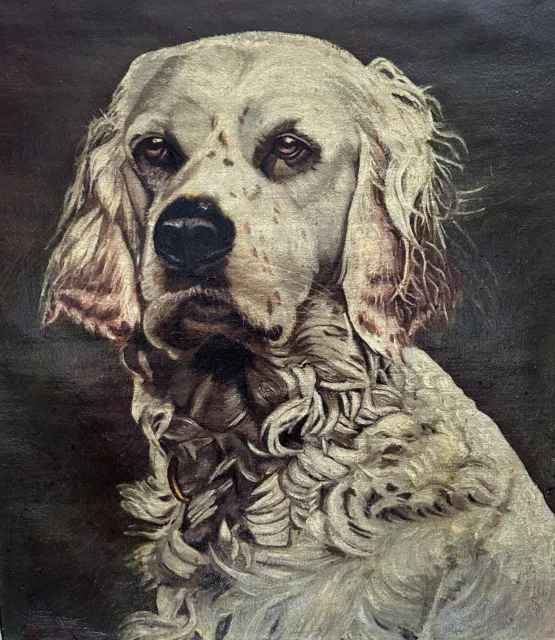 huile sur toile signé - portrait  Setter anglais chien de chasse  