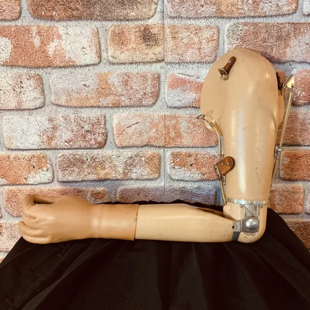 Vintage Prosthetic Full Arm Macabre