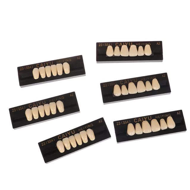 84Pcs/Box Dental Denture Synthetic Resin Teeth False Teeth Upper / Lower Shade