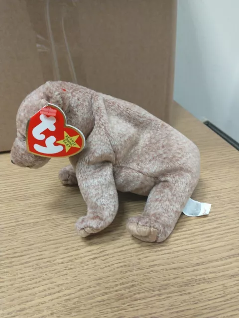 TY BEANIE BABY PECAN THE BEAR - MINT - RETIRED WITH Tags