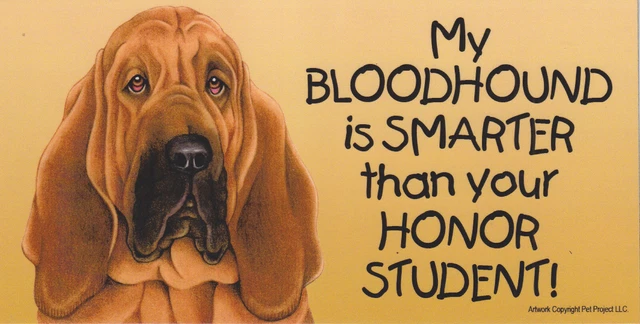 My BLOODHOUND is SMARTER than your Honor Student car fridge MAGNET 4X8