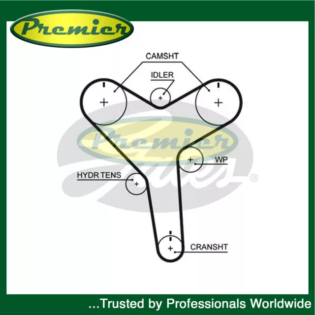 Premier Timing Cam Belt PowerGrip Industrial Heavy Duty Pump Machinery T257 Fi.�