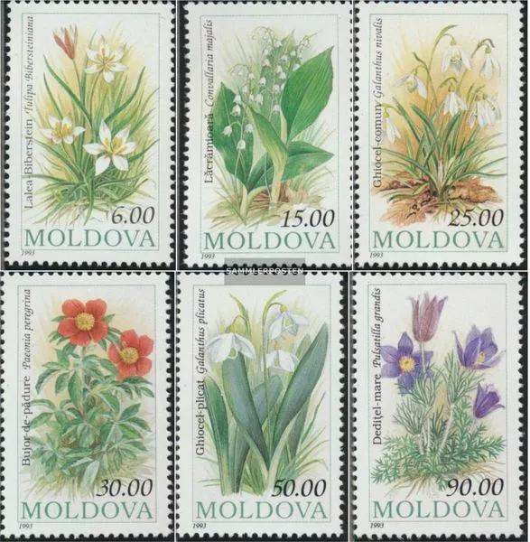 Moldawien 81-86 (kompl.Ausg.) postfrisch 1993 Blumen