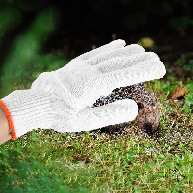 Scarpe antinfortunistiche hotsell flower gloves
