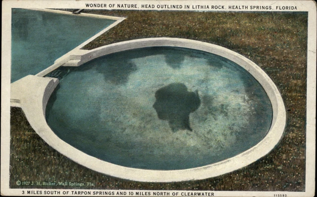 Wall Springs Health Springs ~ Lithia Rock woman's head ~ Tarpon Springs FL 1920s