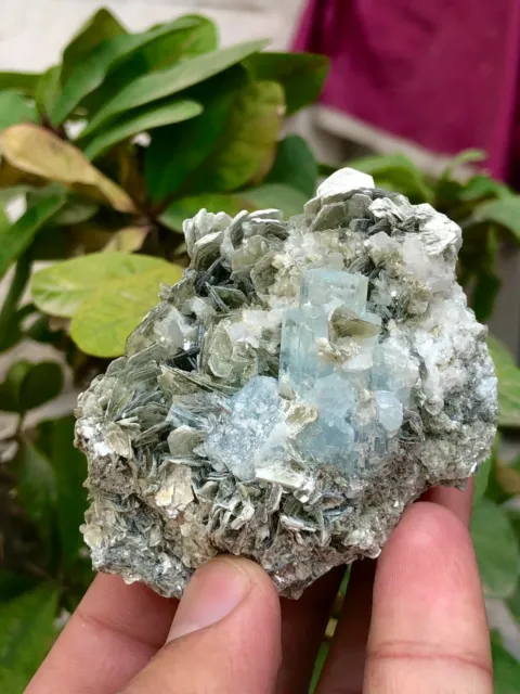 645 CTS Beautiful Aquamarine Crystal with Muscovite Combine specimen