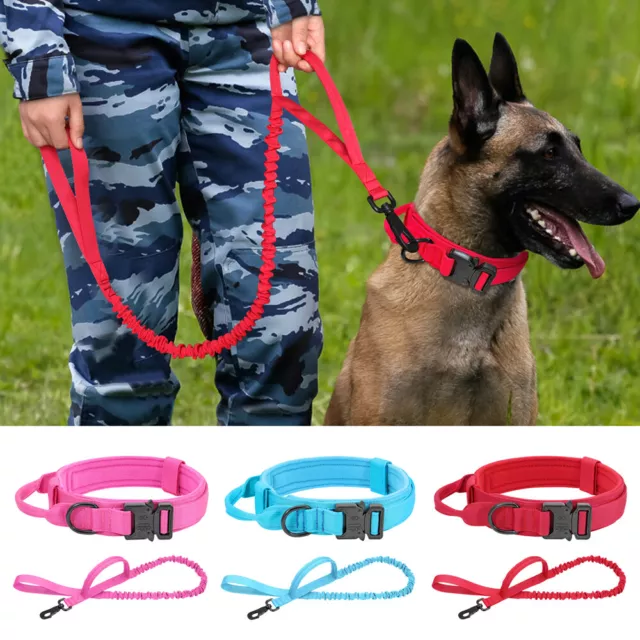 Tactical Dog Collar and Leash Heavy Duty Metal Buckle Adjustable Strap W/ Handle