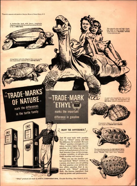 Vintage 1950 Ethyl Gasoline Trade Marks Of Nature Galapagos Tortoise ad E5