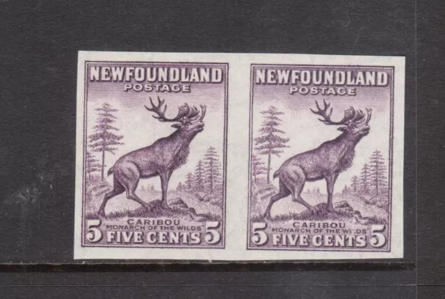 Newfoundland #191b XF/NH Imperforate Pair