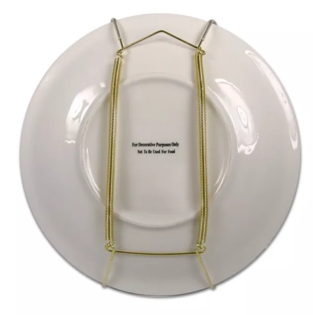 GOLD PLATE DISPLAY Hangers, Spring Type,Hold 7 to 10 Inch Plates -Pack ...