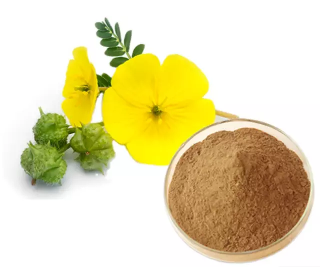 Tribulus Terrestris-Extraktpulver, natürlicher Testosteron-Booster, 95 %...