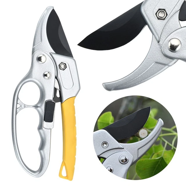 greffage Outil de greffage de jardin Ciseaux de jardin Cisailles d'élagage