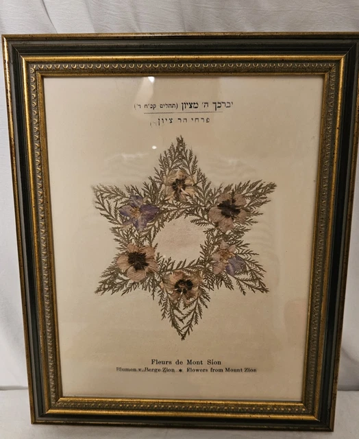 RARE FLOWERS FROM HOLY LANDS Pressed Framed Flower From Mt. Zion 8x10, 2 Avail