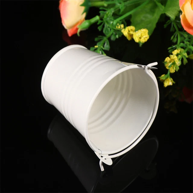 12 Pcs Pot De mini seaux cotillons Pour La Maison Petit Seau En Fer Décor De Fen 3