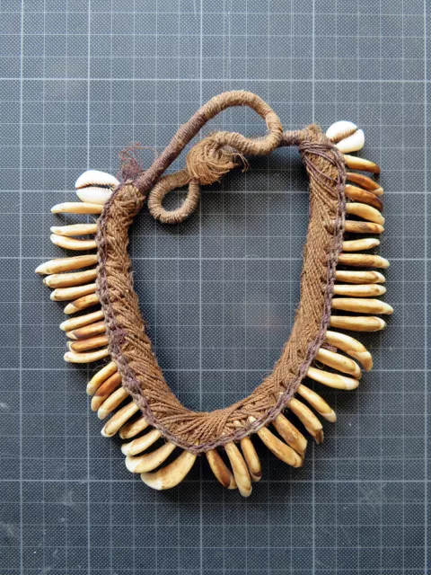 Seltene Tierzahn-Kette (Hund) Sepik River, Papua-Neuguinea