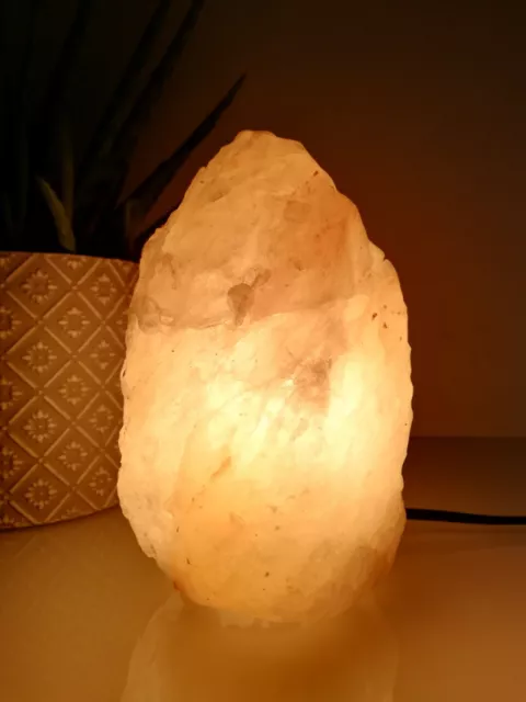 Lampe en véritable sel d'Himalaya environ 2 kgs avec système éclairage + ampoule