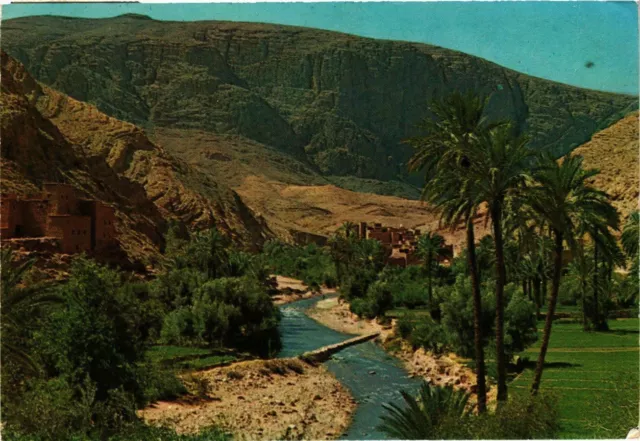 CPM AK MAROC - Typique-La Vallée du Dra (329053)