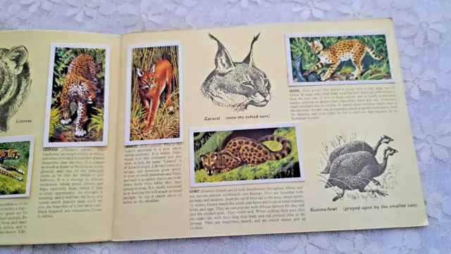 African Wild Life Brooke Bond Vintage Picture Cards  Complete set 2