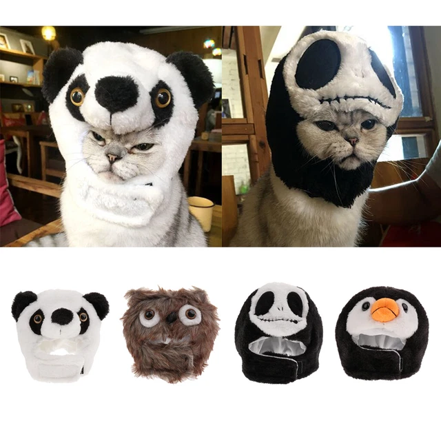 Haustier Halloween Hut Mütze Party Cosplay Kostüm Zubehör
