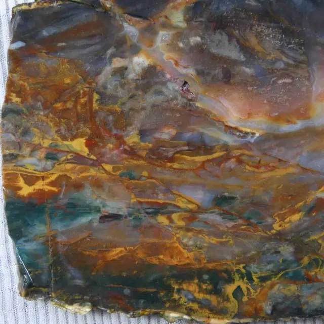 RimRock: Old Time BELVADEE JASPER / AGATE Rough Slab