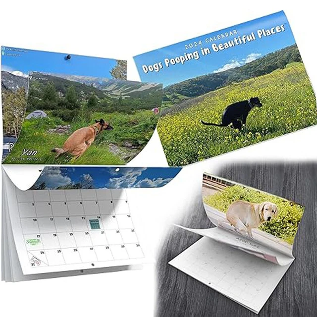 DOGS POOPING IN Beautiful Places 2024 Wall Calendar,Monthly Calendar