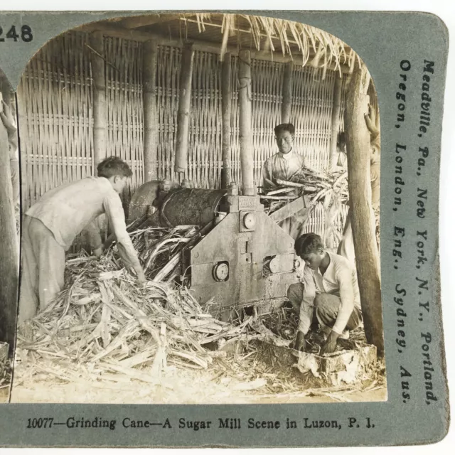 Filipino Men Grinding Sugarcane Stereoview c1906 Keystone Luzon Philippines H792