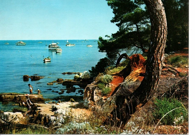 CPA CPM 06 Les Iles De Lerins Ile Sainte Marguerite EUR 5,00 - PicClick FR