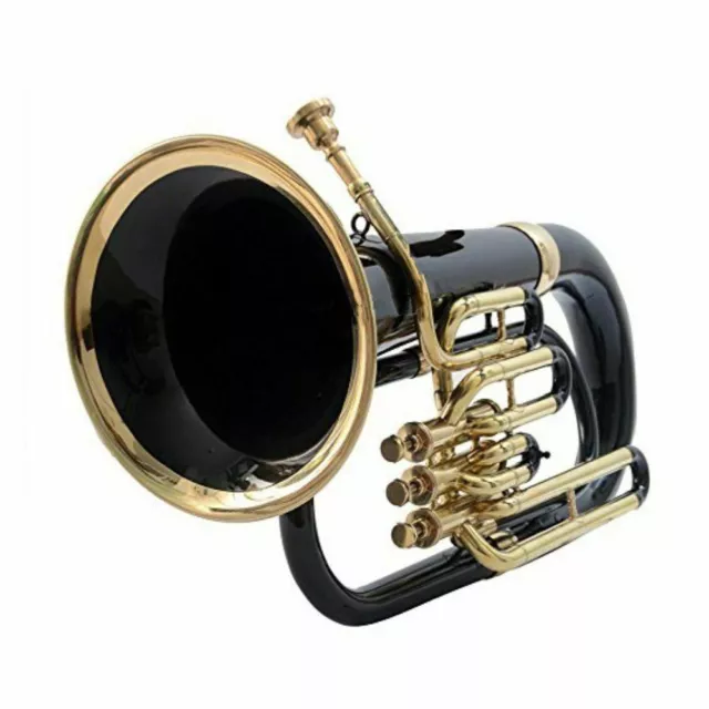 Euphonium 3 Valve Bb Pitch Including Carry Case & Including Mouthpiece Gloves .
