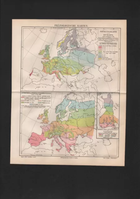 Landkarte map 1897 Phänologische Karte Frühling-Einzug Mitteleuropa. Jahres-Zeit