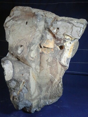 Paleo-American Rock Effigy, Story Rock, Sculpture, Rock Art,  Anomoly five