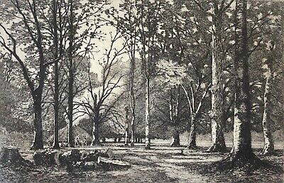 Bernier Gravure Eau Forte Etching Campagne Bretonne Bretagne Bannalec Finistère 