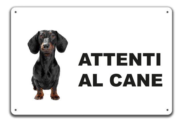 Targa Metallo 'Attenti Al Cane' Con Bassotto - 15x20 Cm, Personalizzabile - Foto 5
