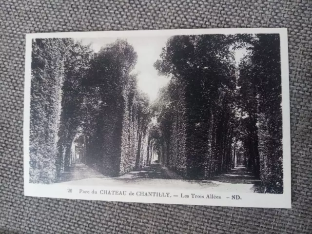 Cpa Parc Du Château De Chantilly Les Tres Allees