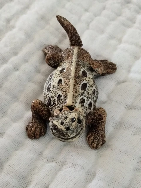 Horned Lizard The Head & Tail Move